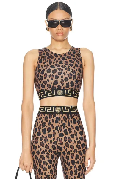 Versace Leopard Sports Bra In Chestnut & Gold