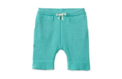 Vild House Of Little Kids'  Organic Cotton Nordic Knit Shorts In Copper Green