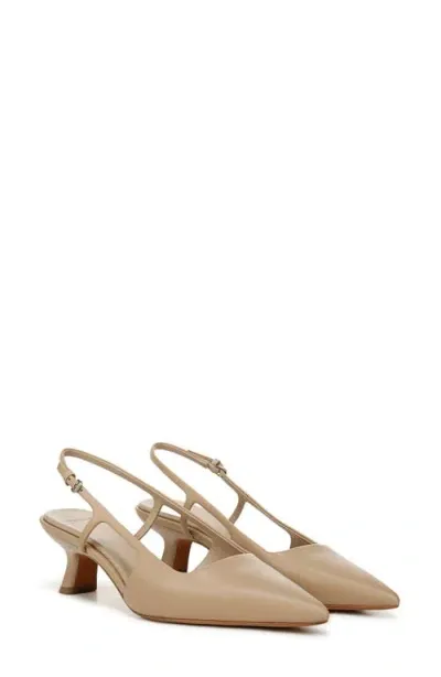 Vince Bianca Slingback Pointed Toe Pump In Taupe Clay