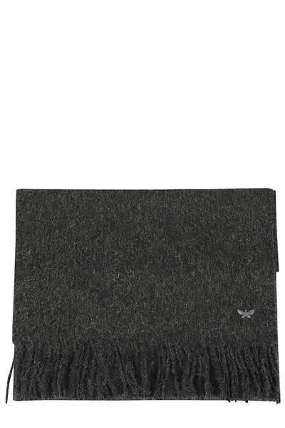 Weekend Max Mara Butterfly Embroidered Fringed Scarf In Grey