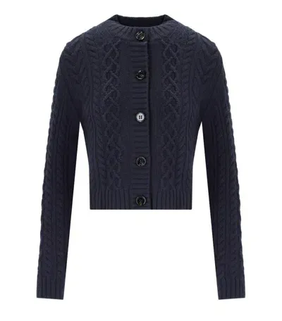 Weekend Max Mara Buttoned Crewneck Cardigan In Blu