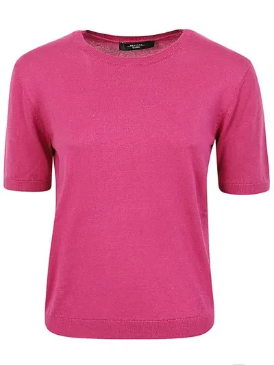 Weekend Max Mara Crewneck Ribbed In Pink