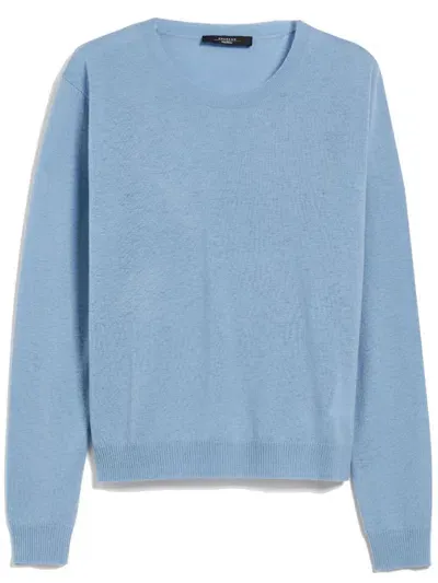 Weekend Max Mara Mochi Clothing In Blue