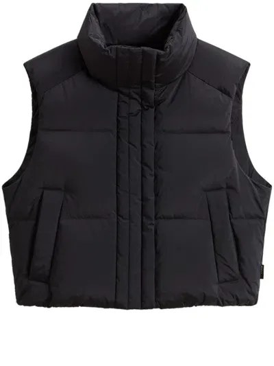 Woolrich Alsea Vest In Black