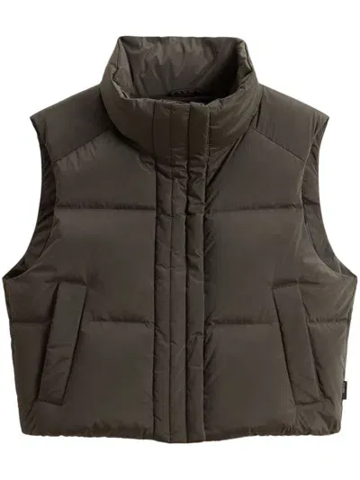 Woolrich Alsea Vest In Green