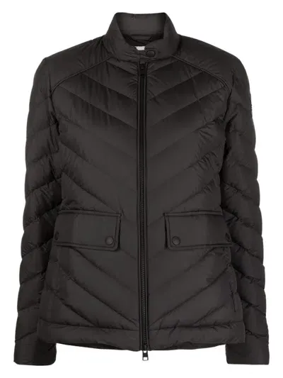 Woolrich Chevron Quilted Short Jacket In Black