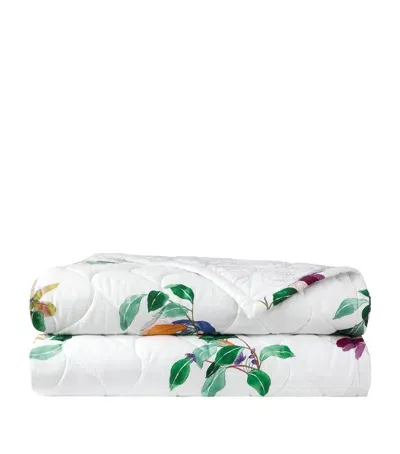 Yves Delorme Parfum Super King Bedcover In Green