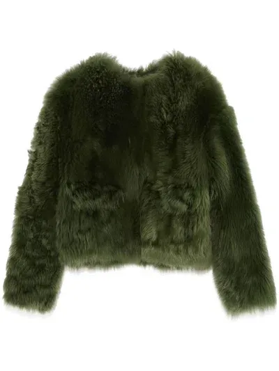 Yves Salomon Shearling Jacket In Green