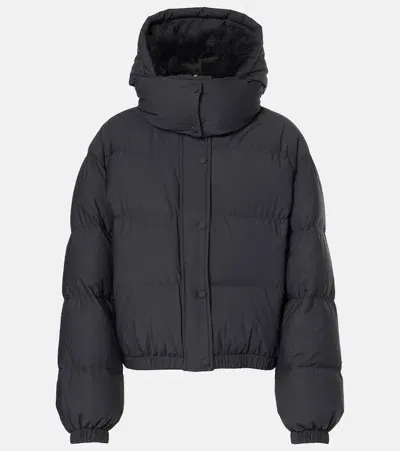 Yves Salomon Shearling-trimmed Down Jacket In Black