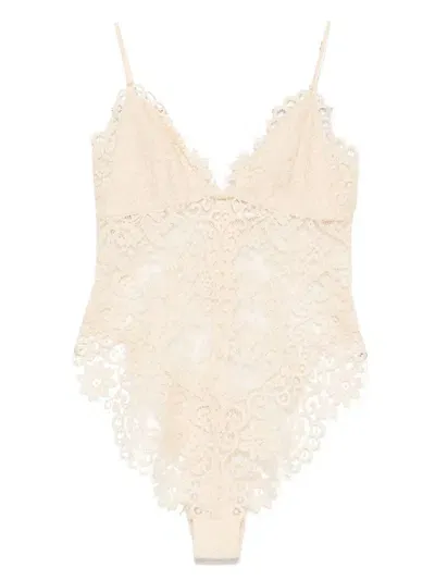 Zimmermann Illustration Lace Bodysuit In Neutrals