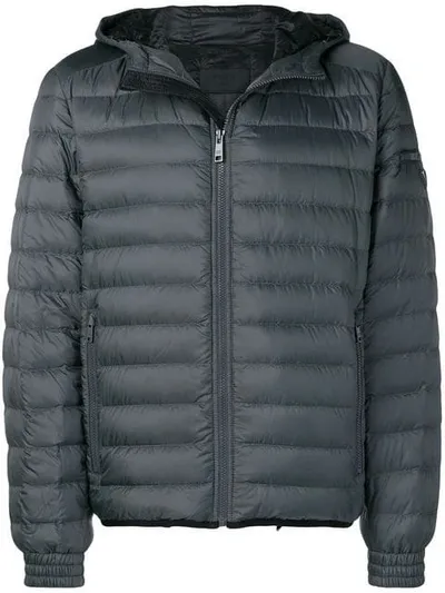 Prada Zipped Padded Jacket In Grey