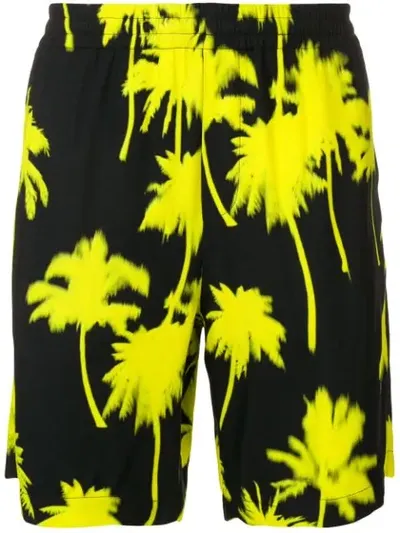 Msgm Palm Tree Print Shorts In Black