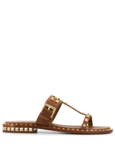 Ash Open Toe Sandals In Brown