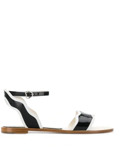 Francesca Bellavita Stardust Flat Sandals In Black