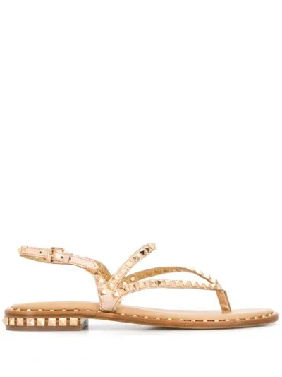 Ash Peps Studded Sandals Rose Gold Leather & Gold Studs