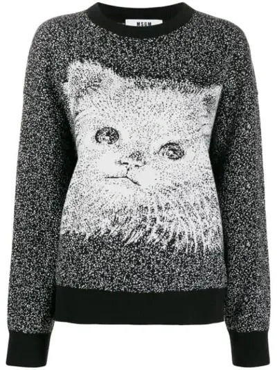 Msgm Knitted Sweatshirt In Black