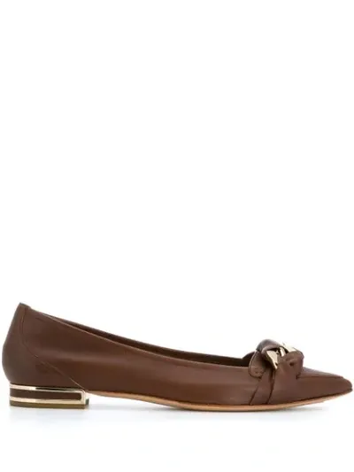 Casadei Pointed Ballerina Shoes In Brown