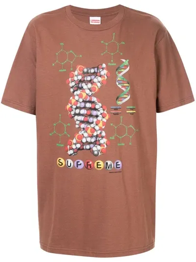 Supreme Dna Tee In Brown