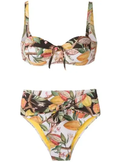 Brigitte Cacau Printed Hot Pants Bikini Set In Multicolour