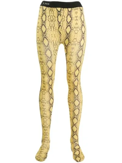 Laneus Snakeskin-print Leggings In Yellow