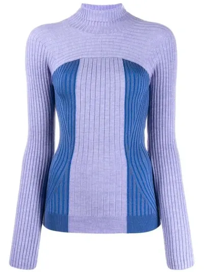 Mugler Ribbed Knit Turtleneck Sweater In Purple