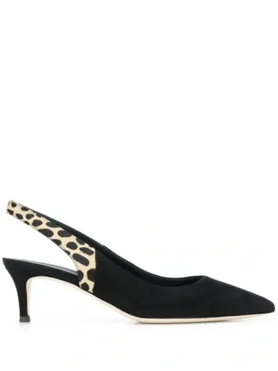 Giuseppe Zanotti Animal Print Pumps In Black Naturele