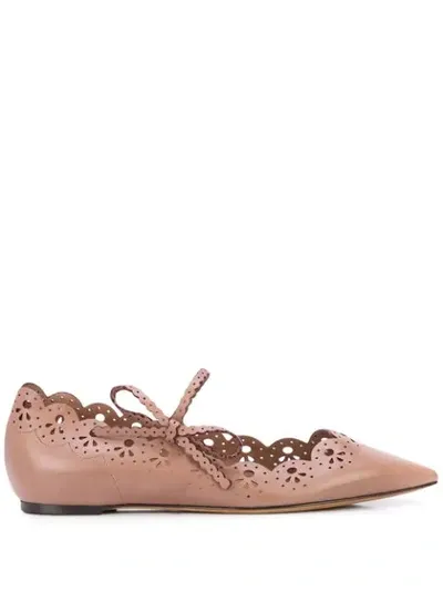 Tabitha Simmons Bobbin Cut-out Ballerina Shoes In Brown