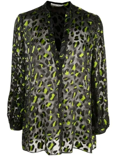 Alice And Olivia Leopard Print Sheer Blouse In Black