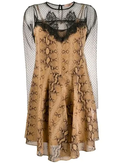 Twinset Snakeskin-print Lace Detail Dress In Brown