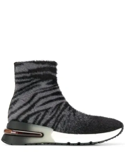 Ash Animal Print Sock Trainers In Black