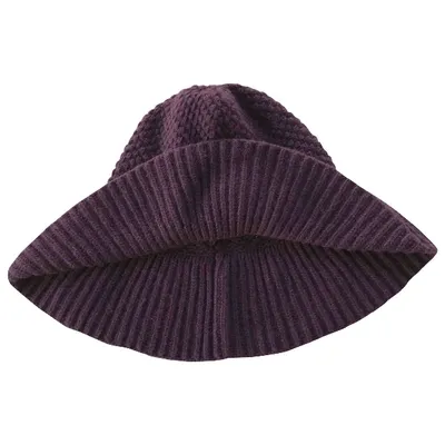 Pre-owned Fendi Cashmere Hat In Purple