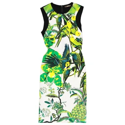 Pre-owned Roberto Cavalli Mid-length Dress In Green