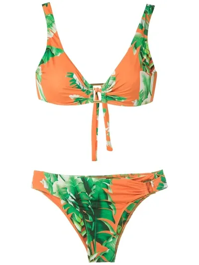 Amir Slama Floral Print Bikini Set In Green