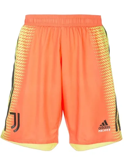 Palace Graphic Print Shorts In Orange