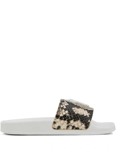 Giuseppe Zanotti Brett Snakeskin Flat Slides In Black