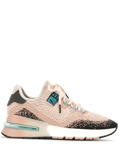 Ash Graded Knit Platform Sole Trainers In Pink