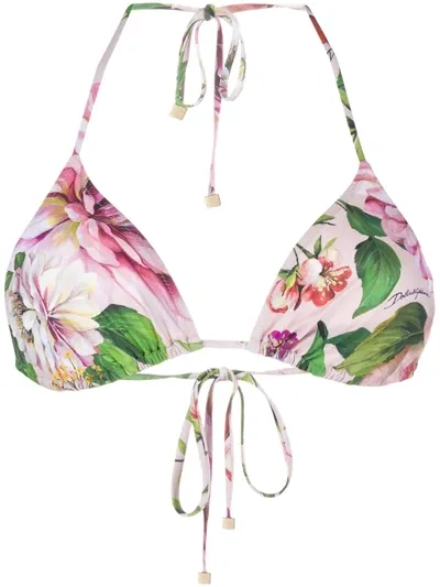 Dolce & Gabbana Floral Triangle Bra In Pink