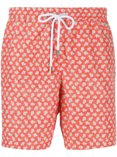 Barba Turtle Print Swim Shorts In Orange