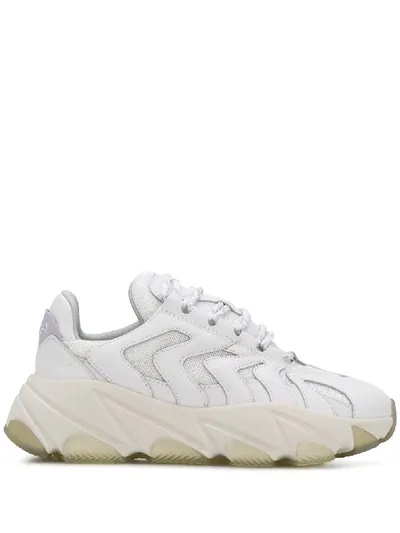 Ash Extreme Sneakers Sneakers In Bianco