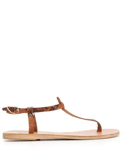 Ancient Greek Sandals Lito Python Effect Sandals In Brown