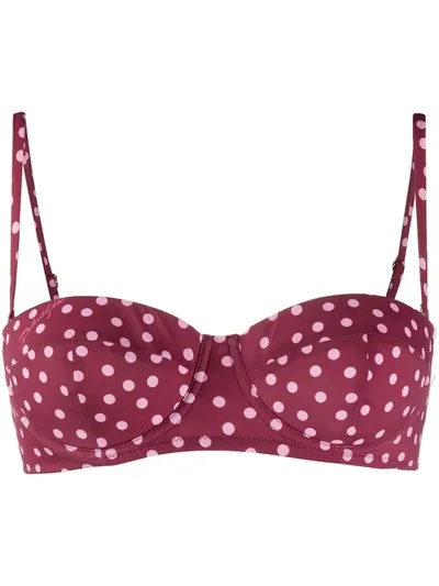 Dolce & Gabbana Polka-dot Padded Bikini Top In Pink