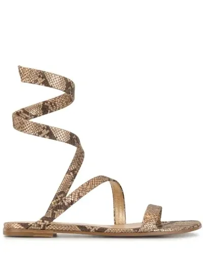 Gianvito Rossi Snake Print Sandals In Brown