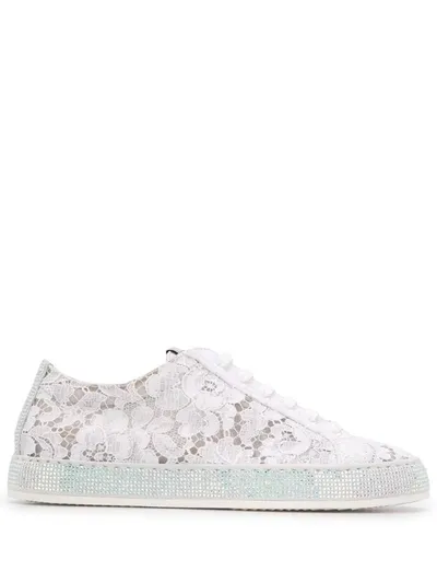 Le Silla Claire Lace Sneakers In White