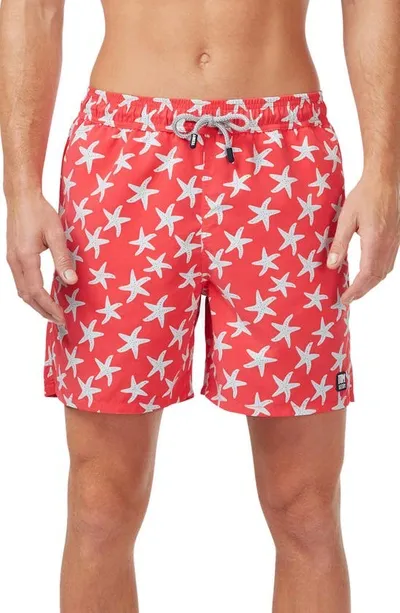 Tom & Teddy Men's Starfish-print Swim Trunks In Rose/blue