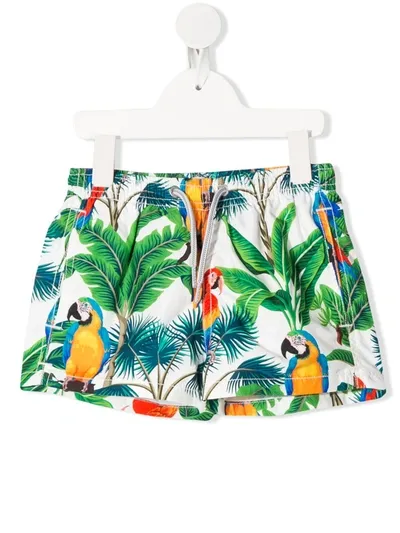 Mc2 Saint Barth Teen Parrot-print Swimming Trunks In White