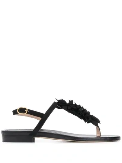 Stuart Weitzman Embellished Low-heel Sandals In Black