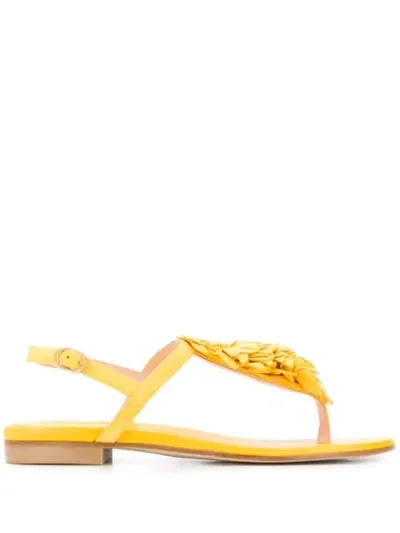 Stuart Weitzman Devorah Embellished Sandals In Yellow