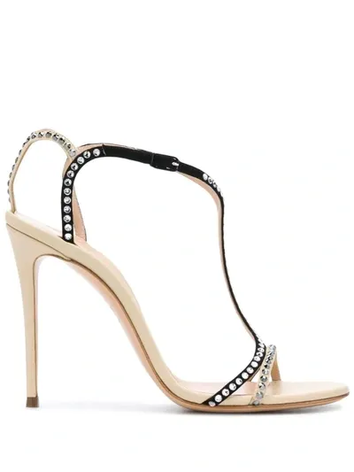 Casadei Studded 115mm Sandals In Black