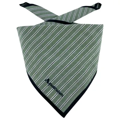 Pre-owned Aquascutum Neckerchief In Other