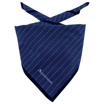 Pre-owned Aquascutum Neckerchief In Other